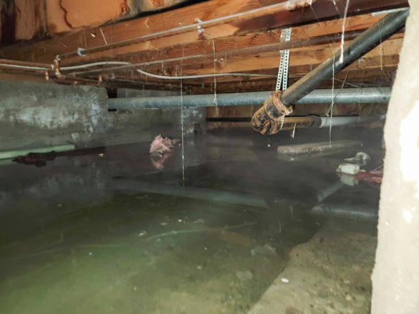 Best 24-hour water damage restoration  in Montclair State University, NJ