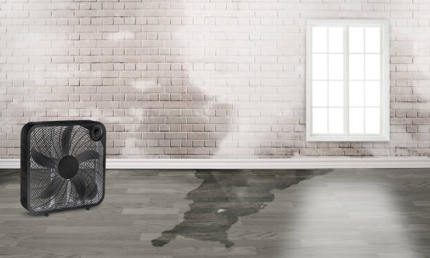 Best Water damage repair service  in Montclair State University, NJ