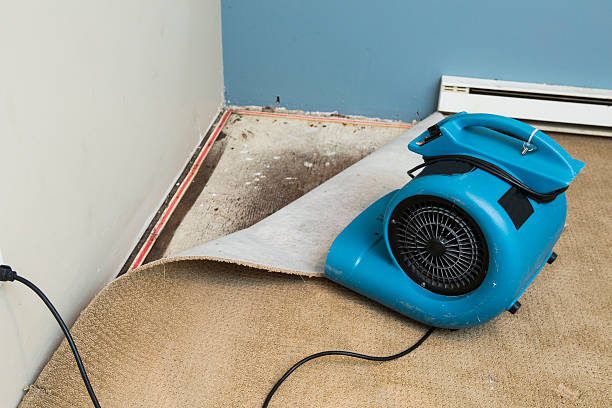 Best Basement water damage restoration  in Montclair State University, NJ